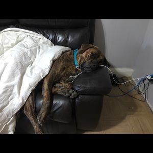 Meet your Posher, Sandra